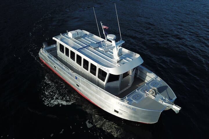 Juneau Whale-Watching: 3.5-Hour Small-Group Catamaran Tour photo 2