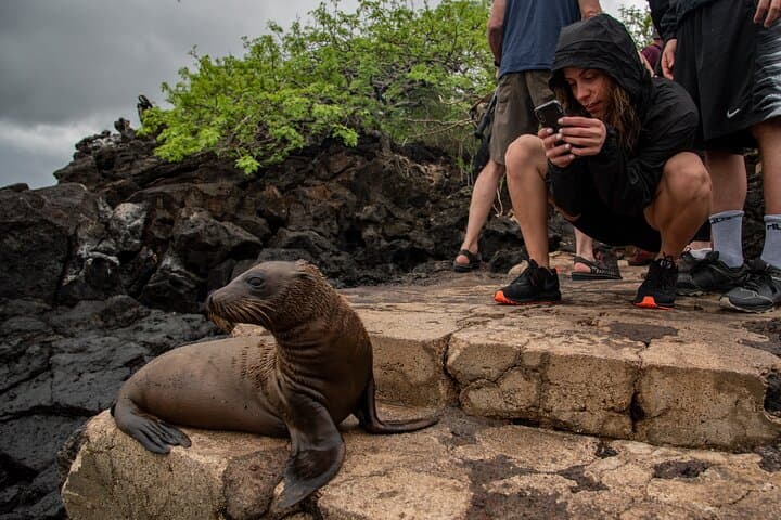 Wild San Cristobal: 4-Day Galápagos Expedition to Kicker Rock and the Highlands photo 5