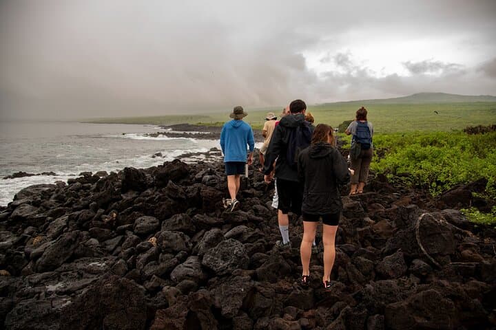 Wild San Cristobal: 4-Day Galápagos Expedition to Kicker Rock and the Highlands photo 6