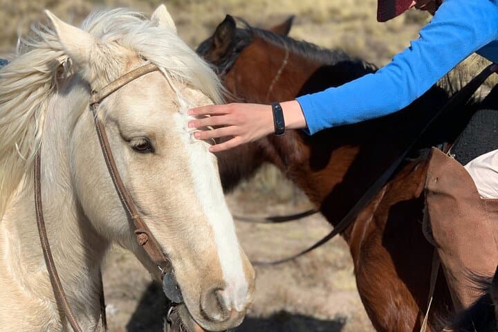 2-Day Horseback Expedition into the Andes from Mendoza photo 4