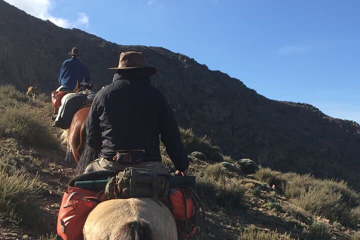 2-Day Horseback Expedition into the Andes from Mendoza photo 5