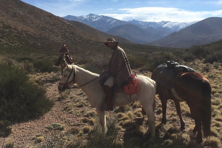 2-Day Horseback Expedition into the Andes from Mendoza photo 6