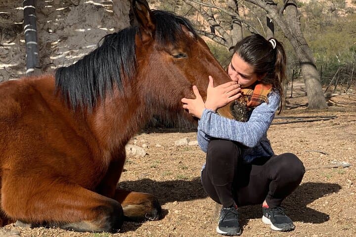 2-Day Horseback Expedition into the Andes from Mendoza photo 3