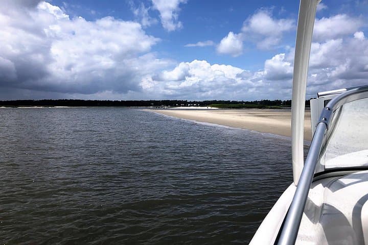 Hilton Head 2-Hour Private Dolphin Watching Cruise — Private Dolphin Tours & Wildlife Viewing photo 4