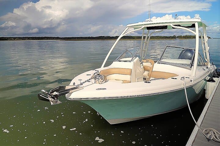 Hilton Head 2-Hour Private Dolphin Watching Cruise — Private Dolphin Tours & Wildlife Viewing photo 2