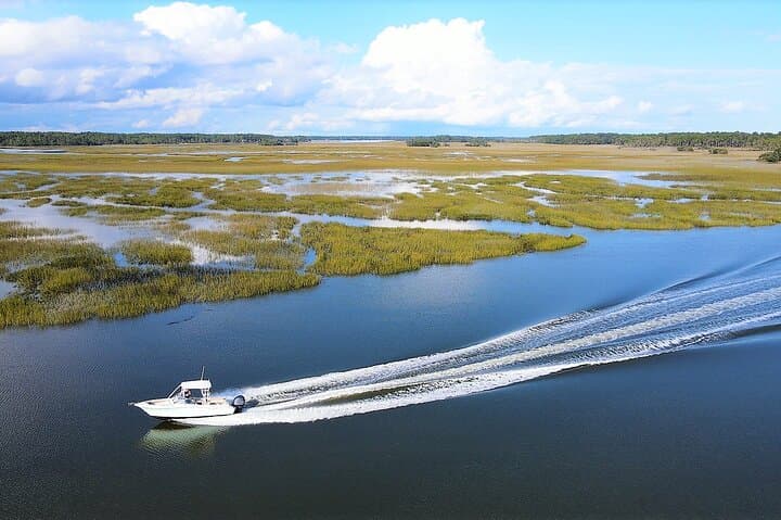 Hilton Head 2-Hour Private Dolphin Watching Cruise — Private Dolphin Tours & Wildlife Viewing photo 6
