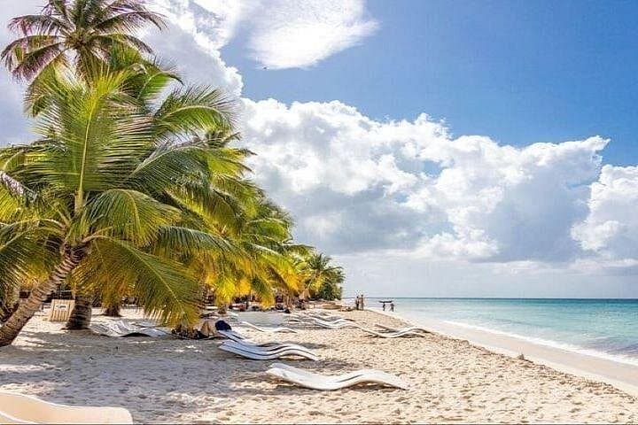 Sailing to Saona Island: Full-Day Catamaran Cruise with Lunch from Punta Cana photo 1