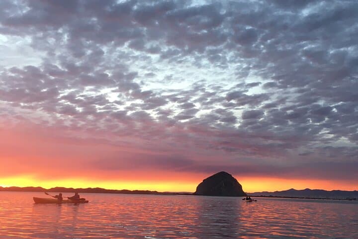 Morro Bay Kayak and Coastal Hike — 3-Hour Central Coast Adventure