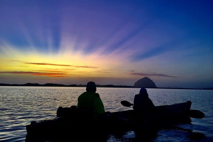 Morro Bay Kayak and Coastal Hike — 3-Hour Central Coast Adventure photo 4