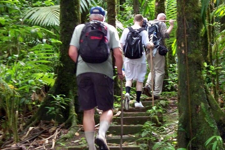 Gros Piton Hike in St. Lucia — Private Guided Ascent with Soufrière Views photo 2