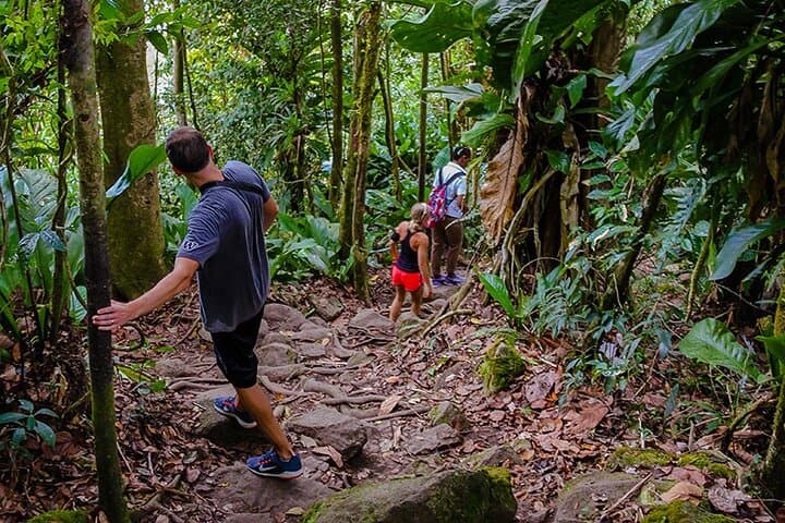 Gros Piton Hike in St. Lucia — Private Guided Ascent with Soufrière Views photo 3