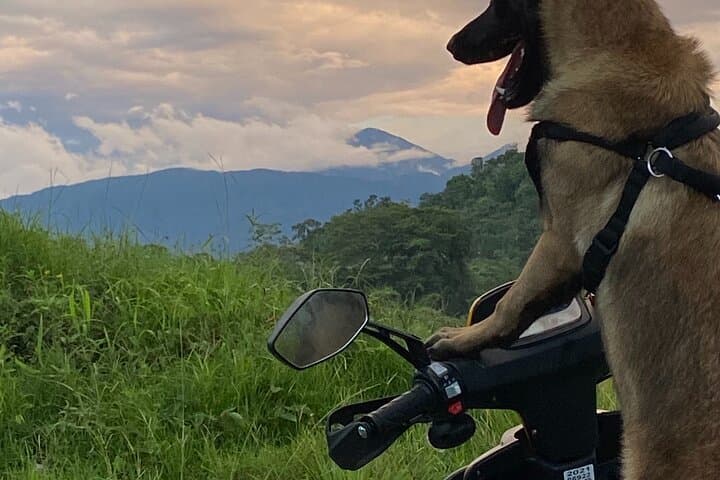 Scooter Rentals in Manuel Antonio: Coastal Routes, Secret Beaches & Rainforest Roads photo 3