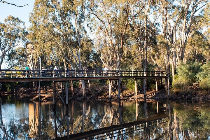Half-Day E-Bike Hire in Echuca — Ride the Murray River Scenic Trails photo 5
