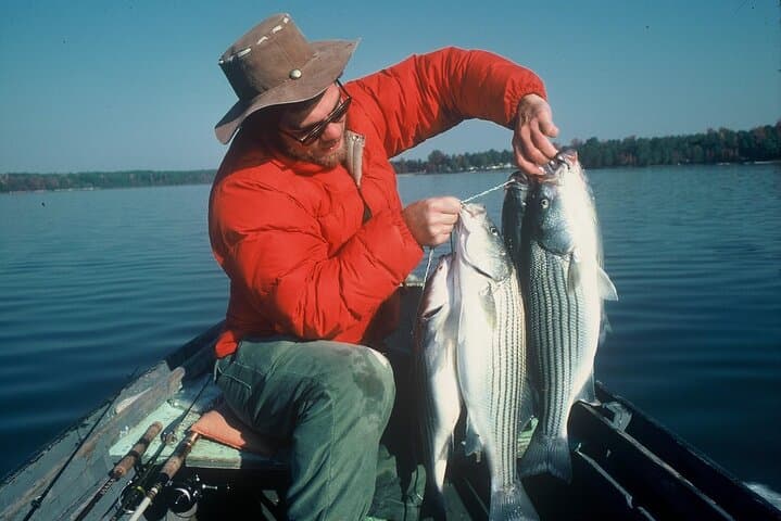 Lagoon Fishing in Bentota: Morning, Evening & Night Trips on the Bentota River photo 5