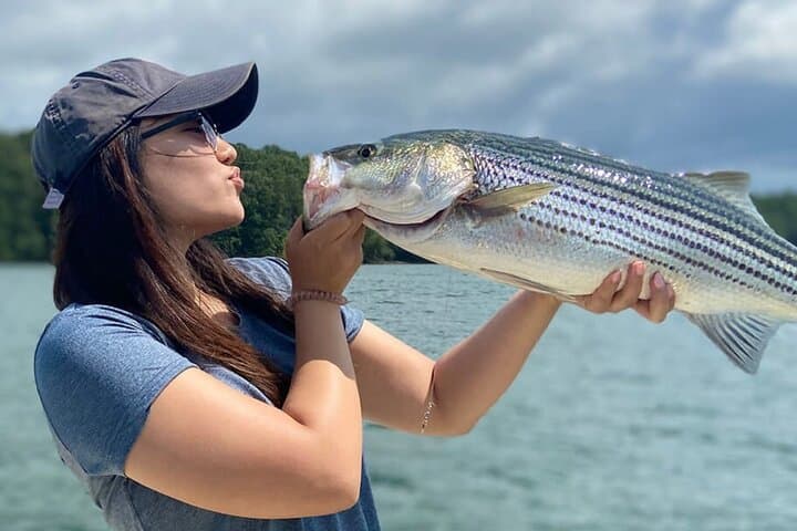 Lagoon Fishing in Bentota: Morning, Evening & Night Trips on the Bentota River photo 2