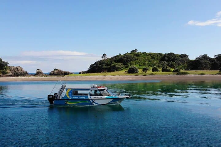 Hole in the Rock Cruise & Island Stopover — Half‑Day Bay of Islands Adventure from Paihia photo 3