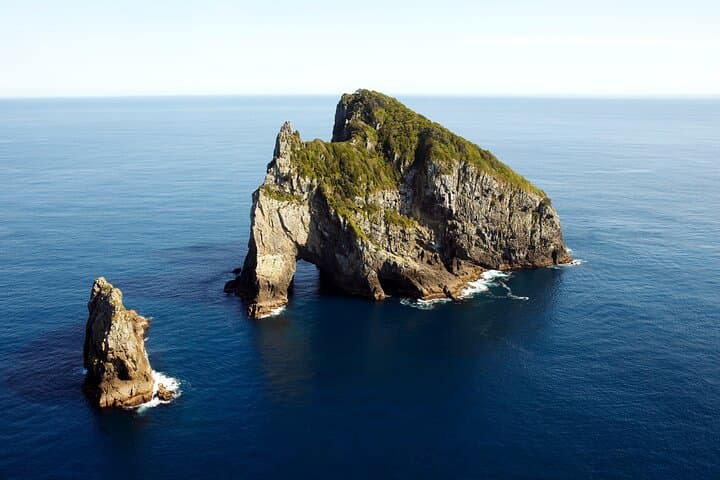 Hole in the Rock Cruise & Island Stopover — Half‑Day Bay of Islands Adventure from Paihia