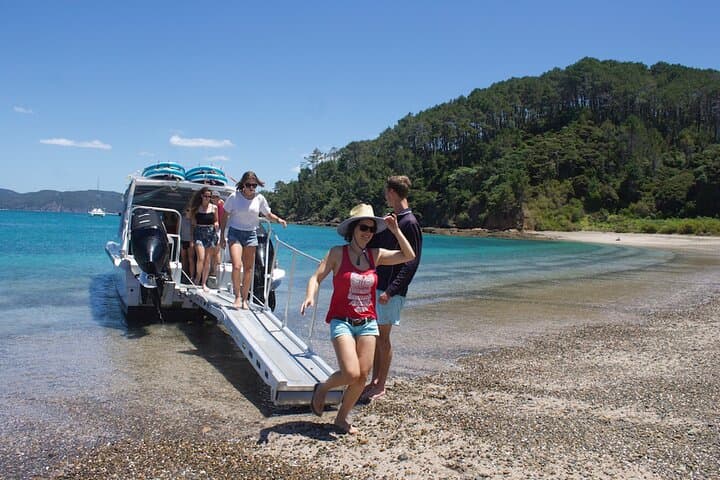 Hole in the Rock Cruise & Island Stopover — Half‑Day Bay of Islands Adventure from Paihia photo 5