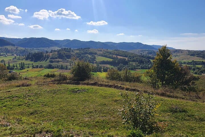 4-Day Private Transylvania Tour from Bucharest — Castles, Carpathians & Medieval Towns photo 4