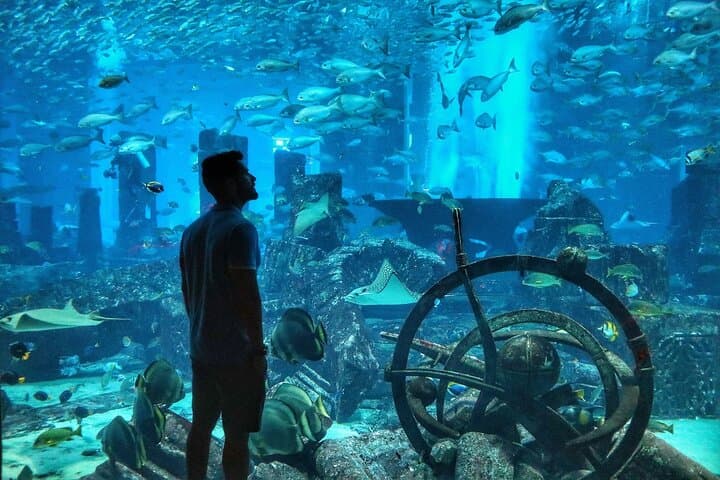 Aquaventure & Lost Chambers: Dubai's Ultimate Waterpark and Aquarium Day Pass photo 6