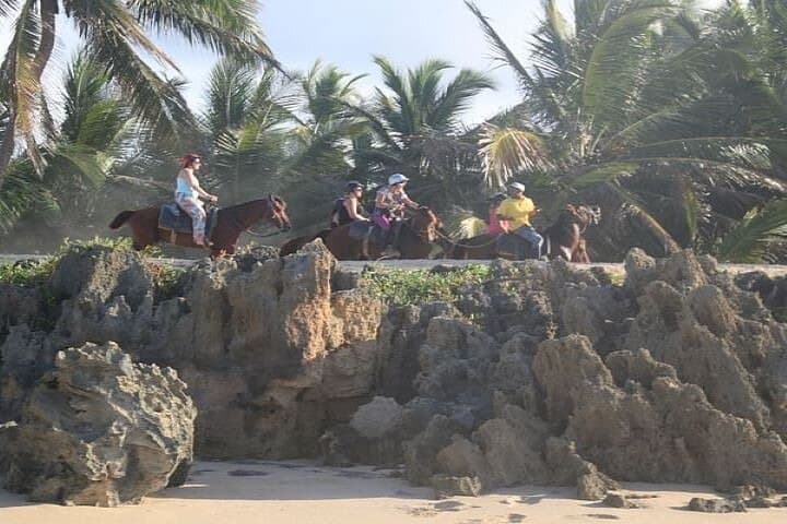 Horseback Riding to Maimon River from Punta Cana — Beach, River & Ranch Ride photo 4