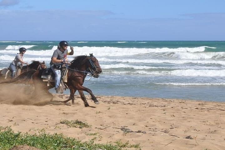 Horseback Riding to Maimon River from Punta Cana — Beach, River & Ranch Ride photo 2