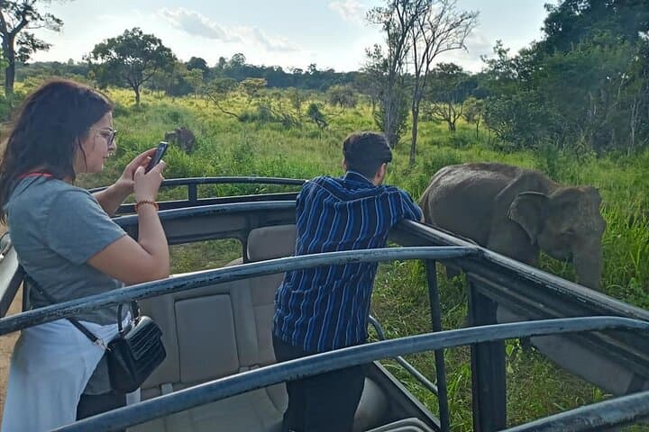 Essence of Nature: 15-Day Sri Lanka Wildlife & Wilderness Tour photo 3