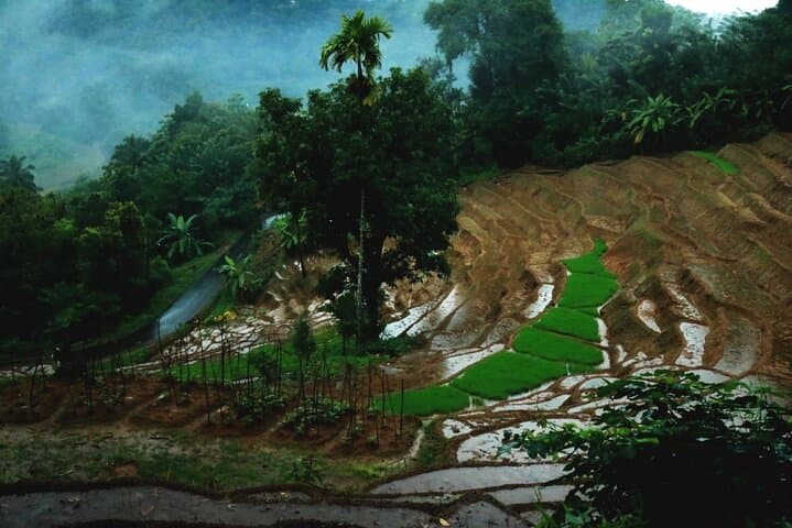 Kandy Village Walk: Waterfalls, Spices and a Home-Cooked Sri Lankan Lunch photo 4