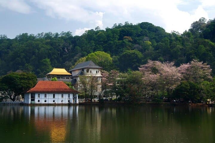 Private Colombo to Kandy Transfer — Comfortable 4-Hour Drive with English-Speaking Driver photo 3