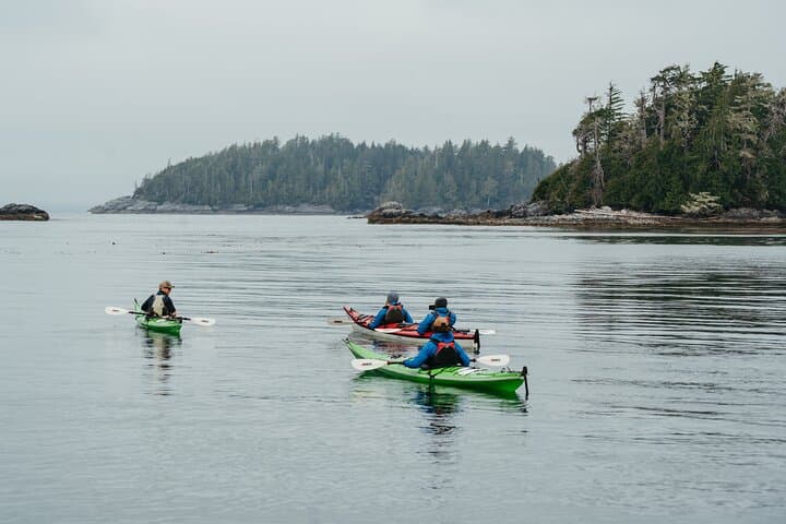 Sea-Kayaking the Broken Group Islands: Day Tour from Ucluelet photo 6