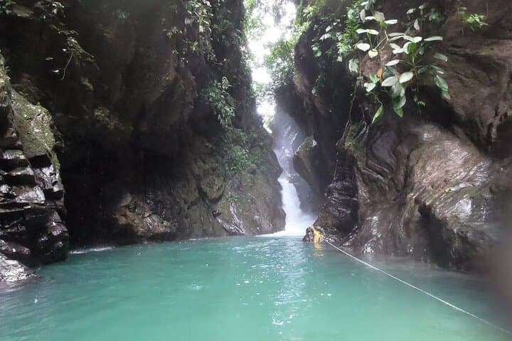Anchicayá & Oasis de la Sirena Birding Tour from Cali — Private Cultural and Wildlife Walk