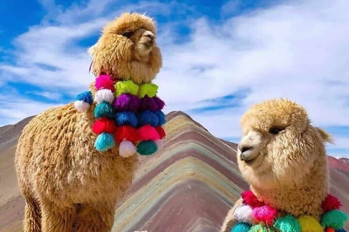 Rainbow Mountain (Vinicunca) Full-Day Hike from Cusco photo 5