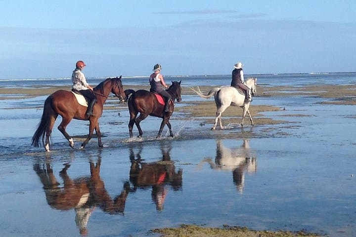 Riambel Beach Horseback Ride — 1-Hour Sunset Horse Riding in Mauritius photo 6
