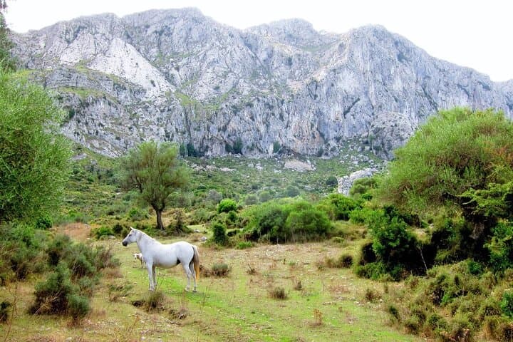 Private Hiking Tour in Pollensa: Guided 5‑Hour Treks in Mallorca's Serra de Tramuntana photo 3