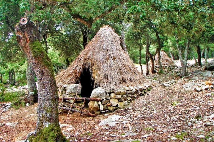 Private Hiking Tour in Pollensa: Guided 5‑Hour Treks in Mallorca's Serra de Tramuntana photo 6
