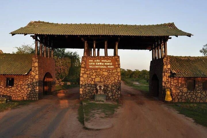 Starry Night Safari: One-Night Camping in Yala National Park photo 3