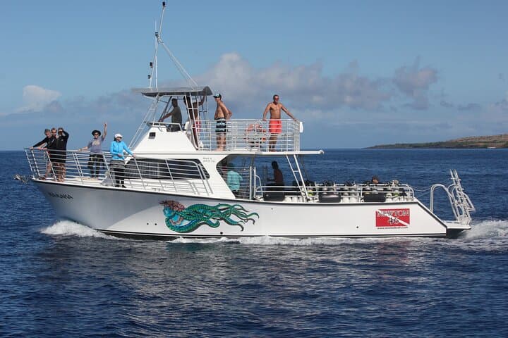 Kohala Coast Sunset Whale Watching from Kawaihae photo 3