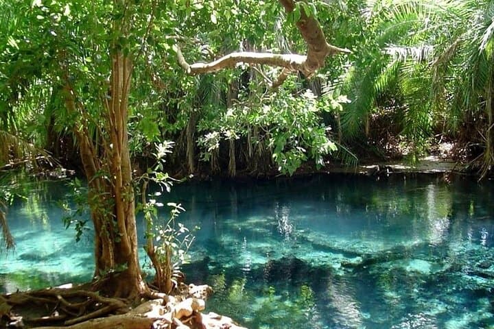 Chemka (Kikuletwa) Hot Springs Day Trip — Swim, Picnic & Relax Near Moshi photo 6