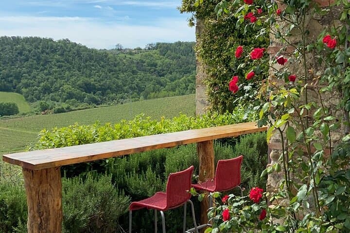 Chianti Wine District Day Trip: Castles, Vineyards & Montefioralle from Florence photo 4