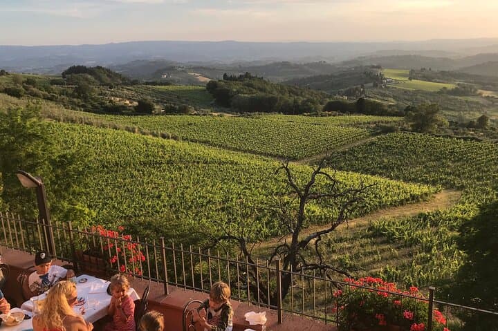 Chianti Wine District Day Trip: Castles, Vineyards & Montefioralle from Florence