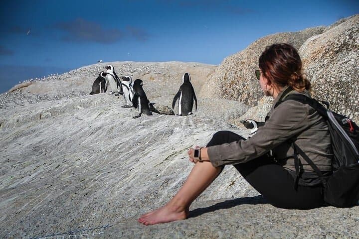 3-Day Cape Town Highlights Tour: Table Mountain, Cape Point, Robben Island & Winelands photo 5