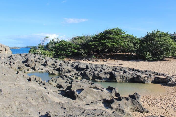 North Coast Beach-Hopping Adventure in Puerto Rico — Mar Chiquita & Puerto Nuevo photo 4
