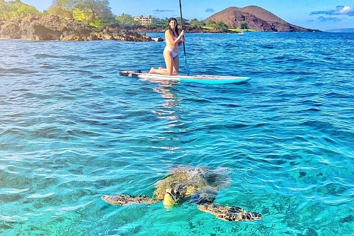 Private SUP Tour in Turtle Town, Maui — Paddle with Turtles & Molokini Views photo 3