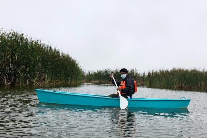 Biking to Pantanos de Villa: Lima’s Coastal Wetland Ride and Birdwatching Adventure photo 3