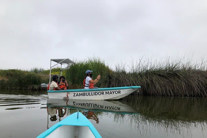 Biking to Pantanos de Villa: Lima’s Coastal Wetland Ride and Birdwatching Adventure photo 4