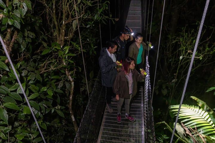 Twilight Hanging Bridges Walk at Arenal Volcano — Sunset Wildlife Tour in La Fortuna photo 5