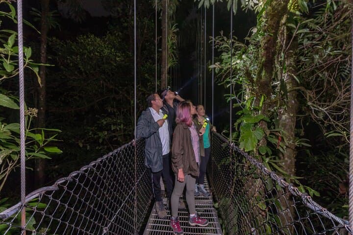 Twilight Hanging Bridges Walk at Arenal Volcano — Sunset Wildlife Tour in La Fortuna photo 6