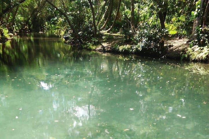Damajagua 7 Waterfalls: A Practical Guide from Amber Cove & Taino Bay photo 3