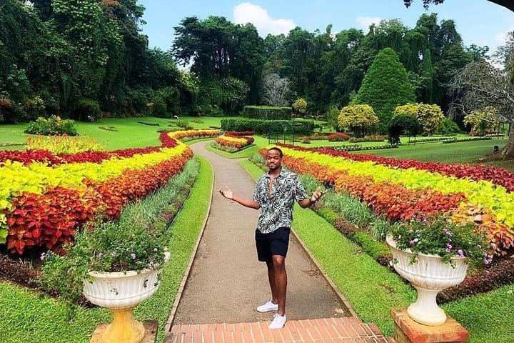Kandy Day Trip: Temple of the Tooth, Peradeniya Gardens & Tea Experience photo 4