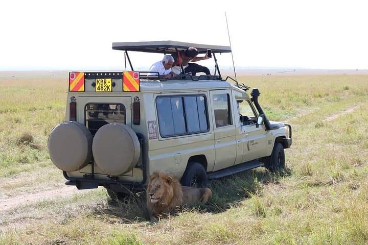 Ol Pejeta Safari & Mount Kenya Day Hike — 3-Day Wildlife and Conservation Experience photo 4